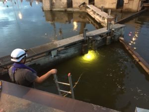 Diving at the Dampoort lock