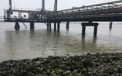 Wall thickness measurements in the Scheldt