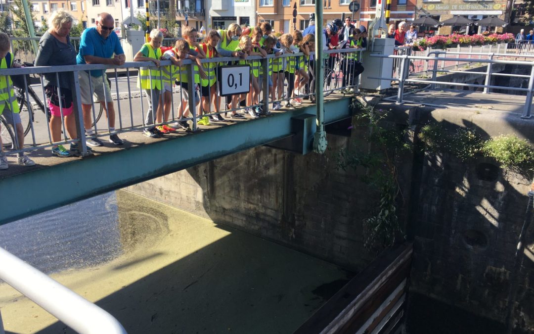 Draining the Veurne lock